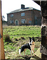 The derelict farmhouse at Forest Farm, Wood Dalling