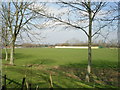 Playing Fields - Fenby Avenue