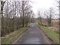 Path to Craigmarloch