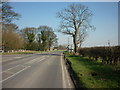 Walking towards Wetwang along the A166