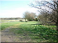 SK5487 : A picnic area on Oldcoates Road at Leys Lane by Ian S