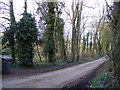 Footpath to Woodhill Farm & entrance to Hall Farm