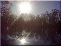 SU3816 : Peaceful fishing lake near Lakeside Avenue by Eleanor Oakley