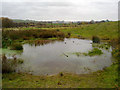 SD9112 : Marsh and bog in Milnrow by Steven Haslington