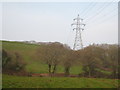 Pylon on the edge of Trenerry Wood