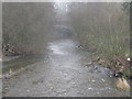 Afon Elwy and Elwy Bridge