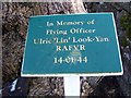 NU0221 : Hurricane ash Memorial plaque by David Clark