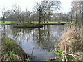 Bolingbroke Stock Pond, Wandsworth Common