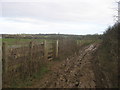 Footpath junction on the North Downs Way 