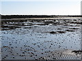 View south towards the spit in Cranfield Bay