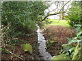 Small stream flowing into Coldharbour