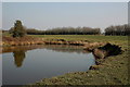 Pond above Hall Lee Bank park, Westhoughton