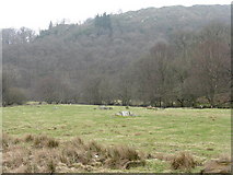 SH7257 : Field and forest near Capel Curig by M J Richardson