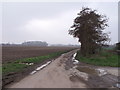 Road beside Hode Farm, Patrixbourne, Kent