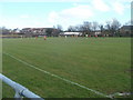 Oranges versus Yellows, Talbot Green