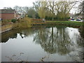 The village pond at Little Driffield