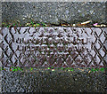 Drain cover, Bangor