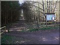 Path in Binton Wood