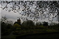 Croydon: Park Hill, water tower and herb garden