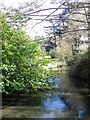 River Wylye, Boreham