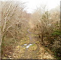 Track along bed of dismantled railway line, Pontywaun 