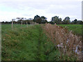 Footpath approaching Earsham Dam