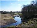 Skirden Beck