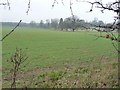 Large arable field alongside drive