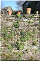 SX4168 : Pots on garden wall by Hugh Craddock