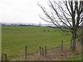 Lisnacreaght Townland