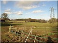 Fence, Heath Farm