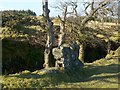 NS4660 : Remains of a dry-stone wall by Lairich Rig