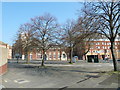 Winter trees in Evans Street