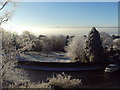 A heavy hoarfrost over Dawstone Park