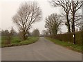 The road to Hunston from Ashfield Road