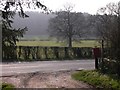 Footpath with postbox near Blacknest