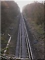 Looking west on the railway at Isington