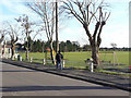 Owston Ferry Recreation Ground