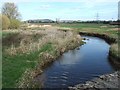 The Culm from Culm Bridge