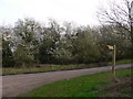 Footpath sign on lane out of Well