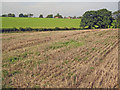 Stubble field near Parkfields