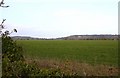 Looking over a field near Rockley