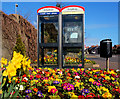 Floral telephone boxes, Larne