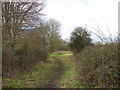 Dismantled railway, Corfe Mullen