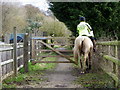 Horse and rider, Corfe Mullen