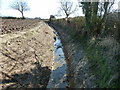 Drainage ditch near Upper Wellingham Farm