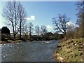 The Riverside Caravan Park, River Teviot