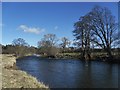 The River Teviot, Ashybank