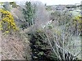 The Cross Water River above Carrigenagh Bridge