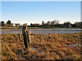 Old mooring post in Landermere Creek